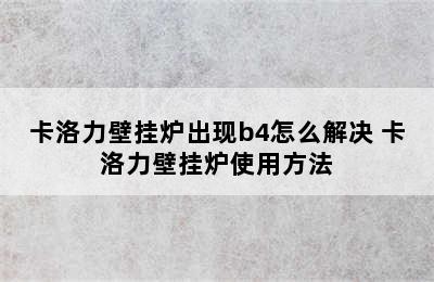 卡洛力壁挂炉出现b4怎么解决 卡洛力壁挂炉使用方法